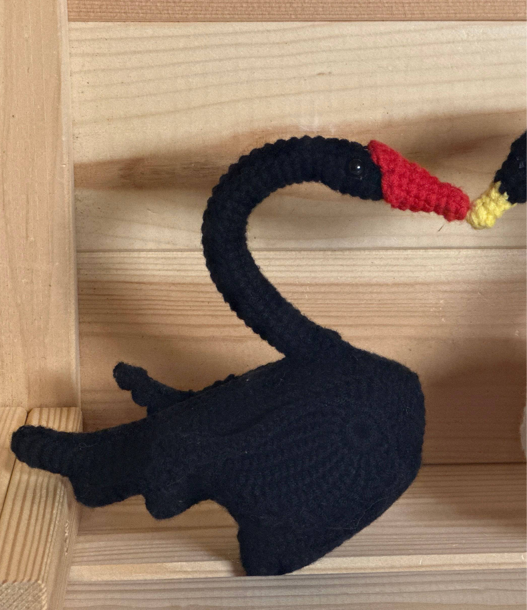 Black and White Swan Couple