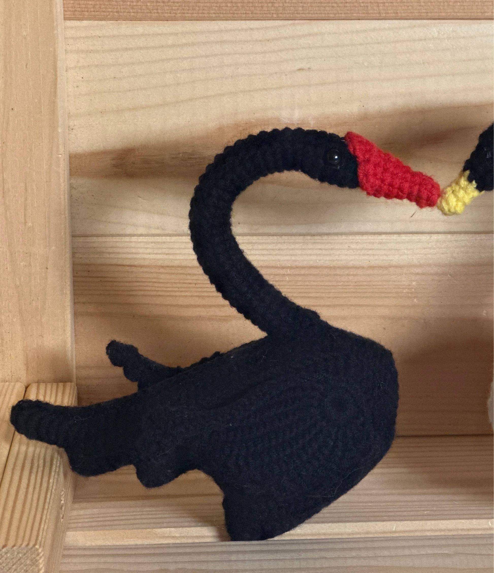 Black and White Swan Couple