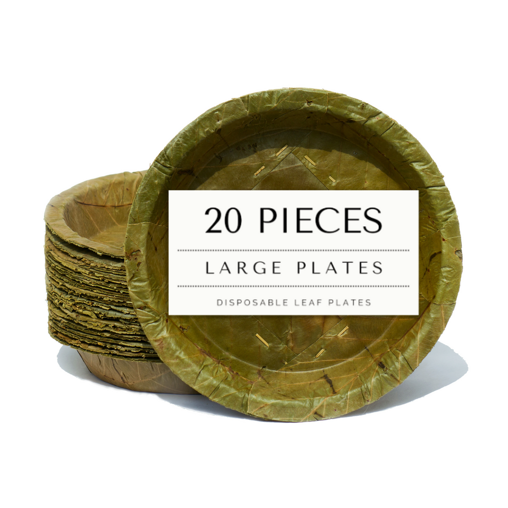 Large Sal Leaf Plates 23cm Diameter