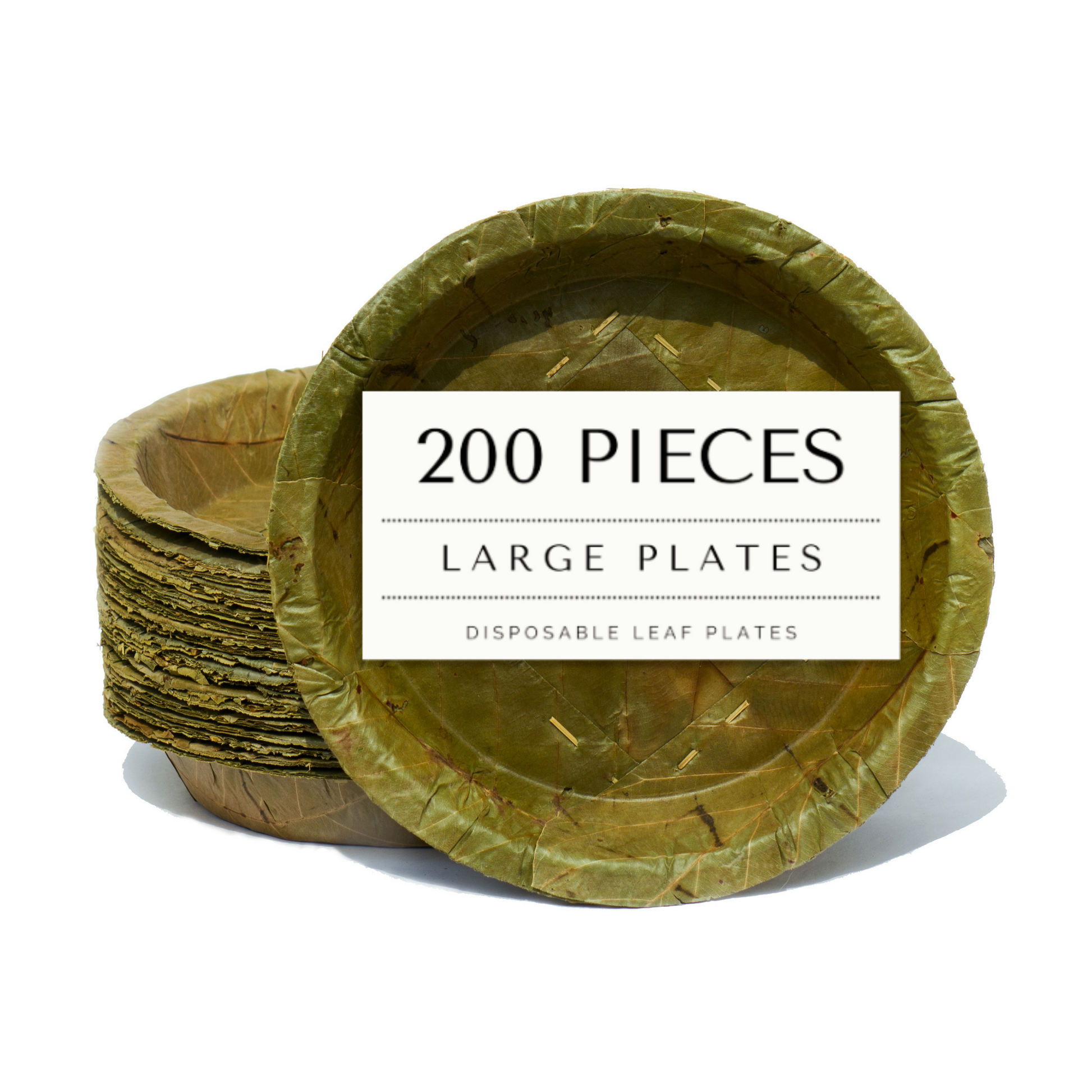 Large Sal Leaf Plates 23cm Diameter