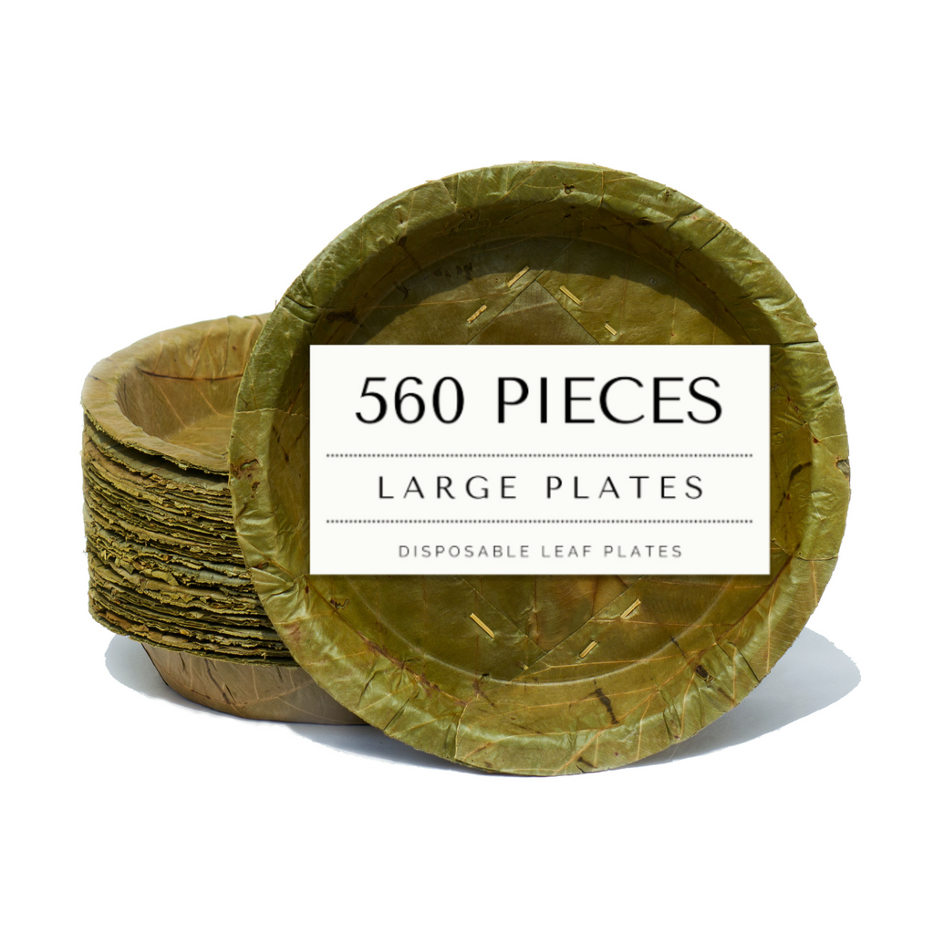 Large Sal Leaf Plates 23cm Diameter