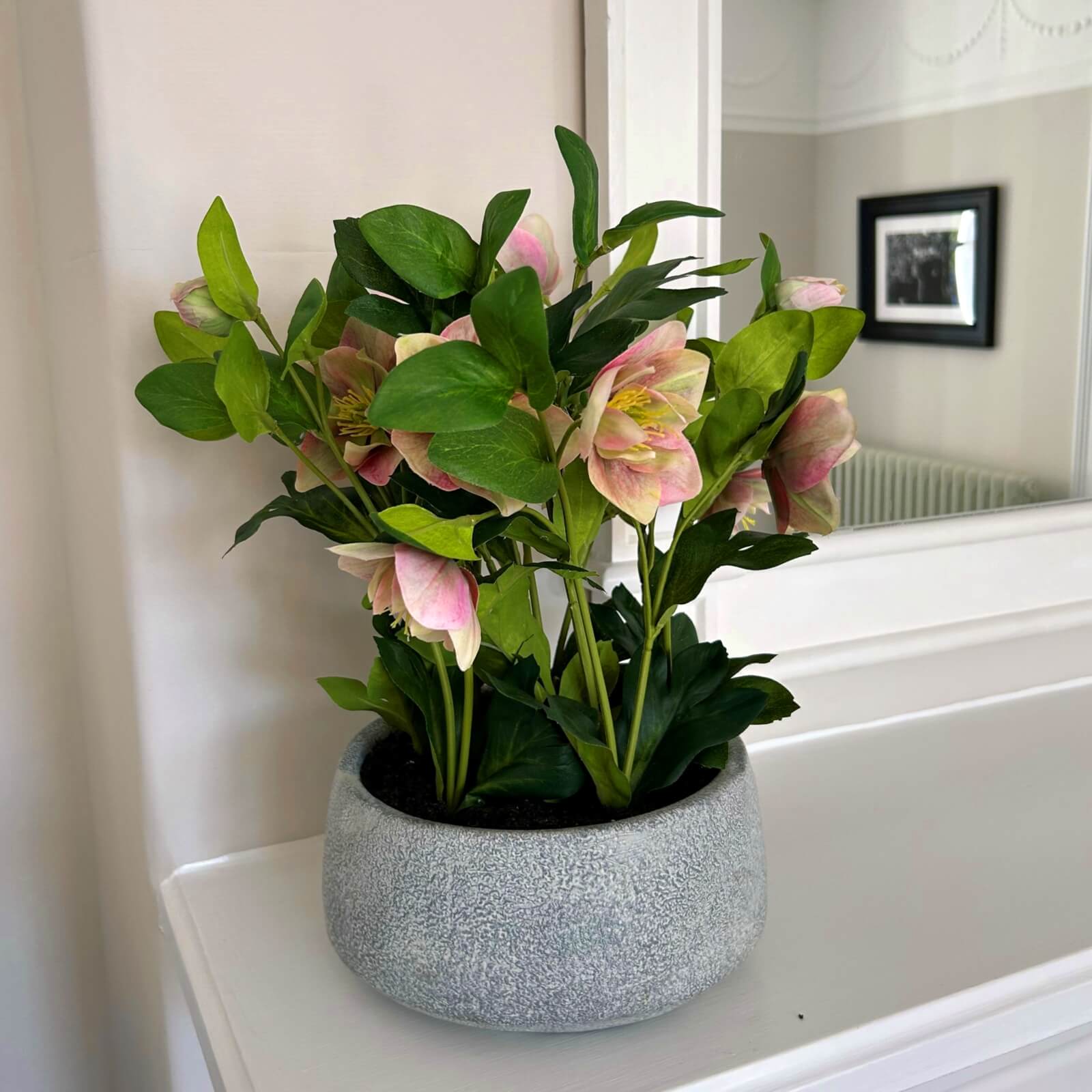 Faux hellebore plant with soft pink and white blooms in grey ceramic pot, lifelike artificial flowers for home decor by Sostter at brixbailey.com