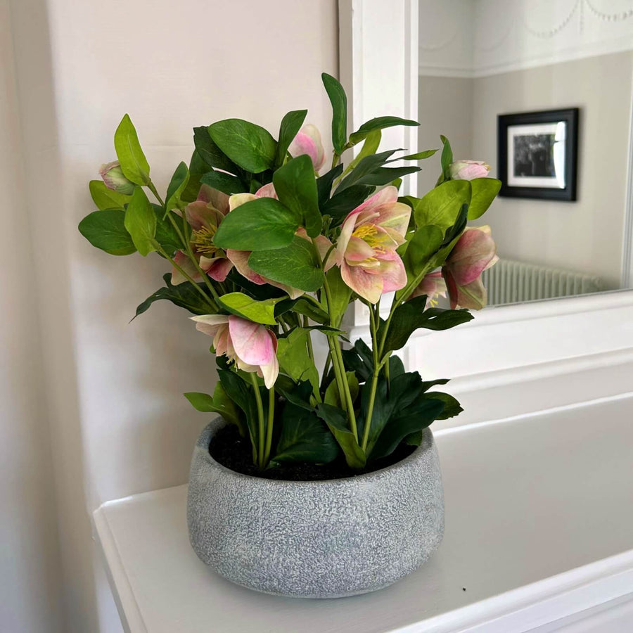 Faux hellebore plant with soft pink and white blooms in grey ceramic pot, lifelike artificial flowers for home decor by Sostter at brixbailey.com