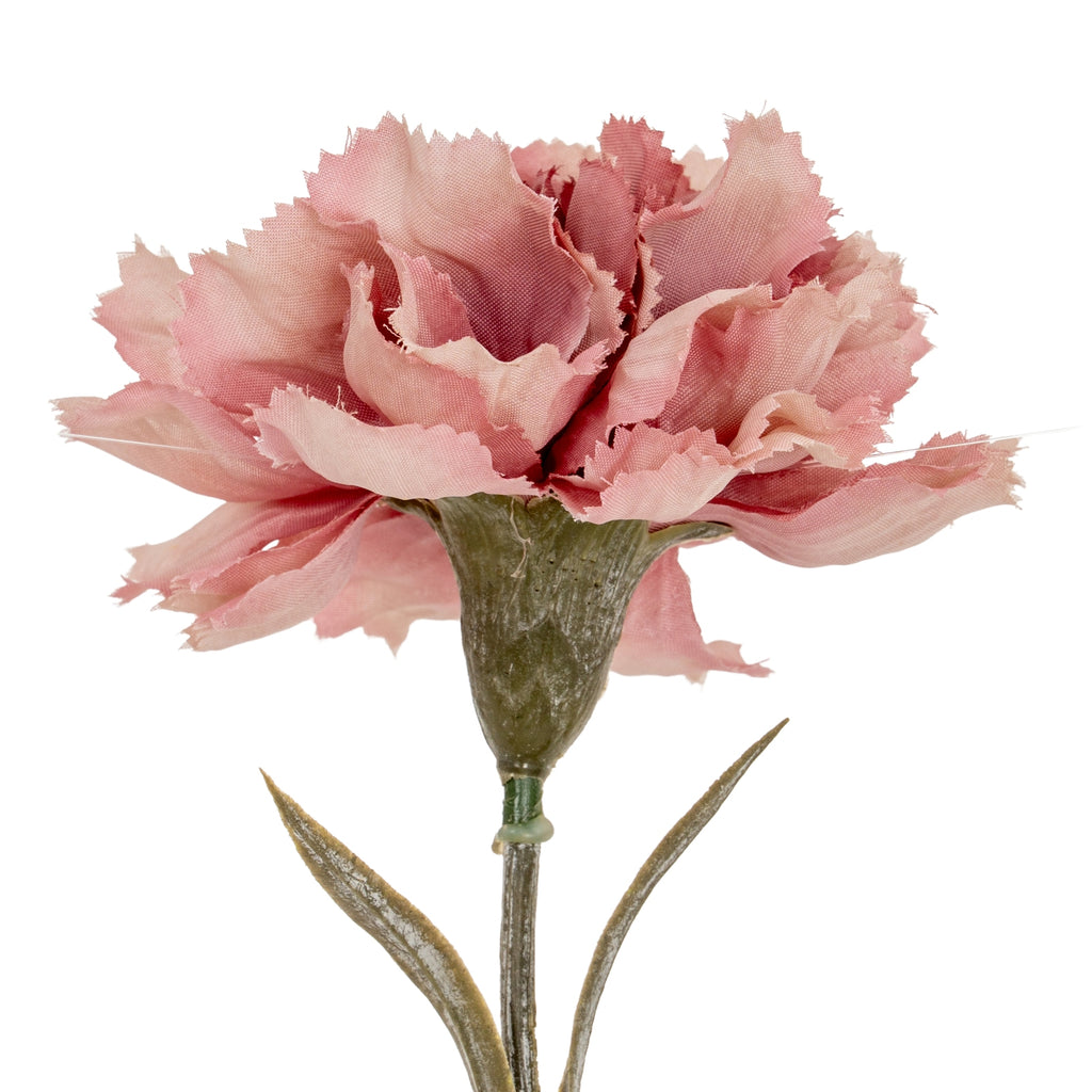 a playful close-up of a ruffled pink carnation stem with a fun, confetti-like burst of petals