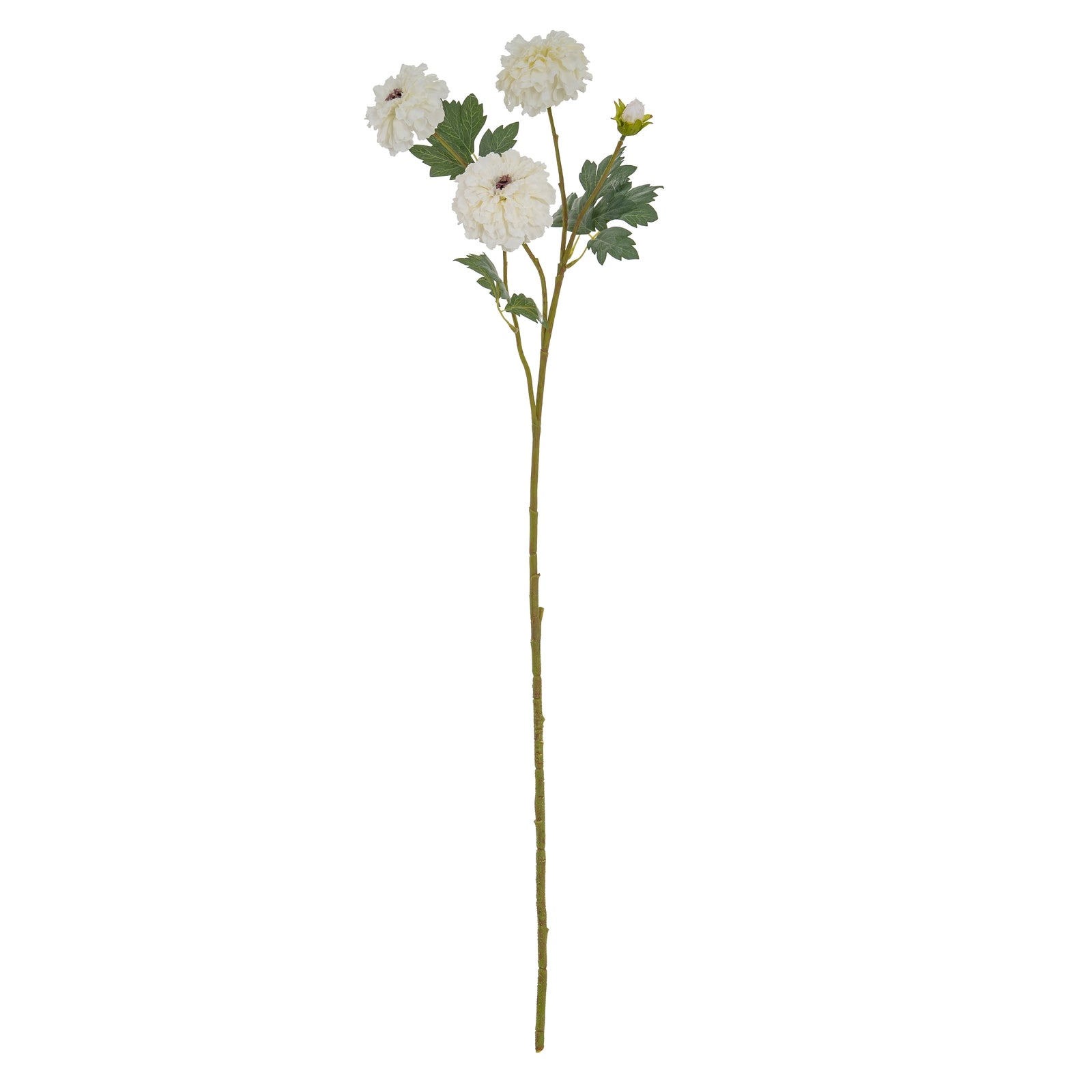 a soft, close-up view of a lifelike white marigold stem in a cozy, minimalist room setting