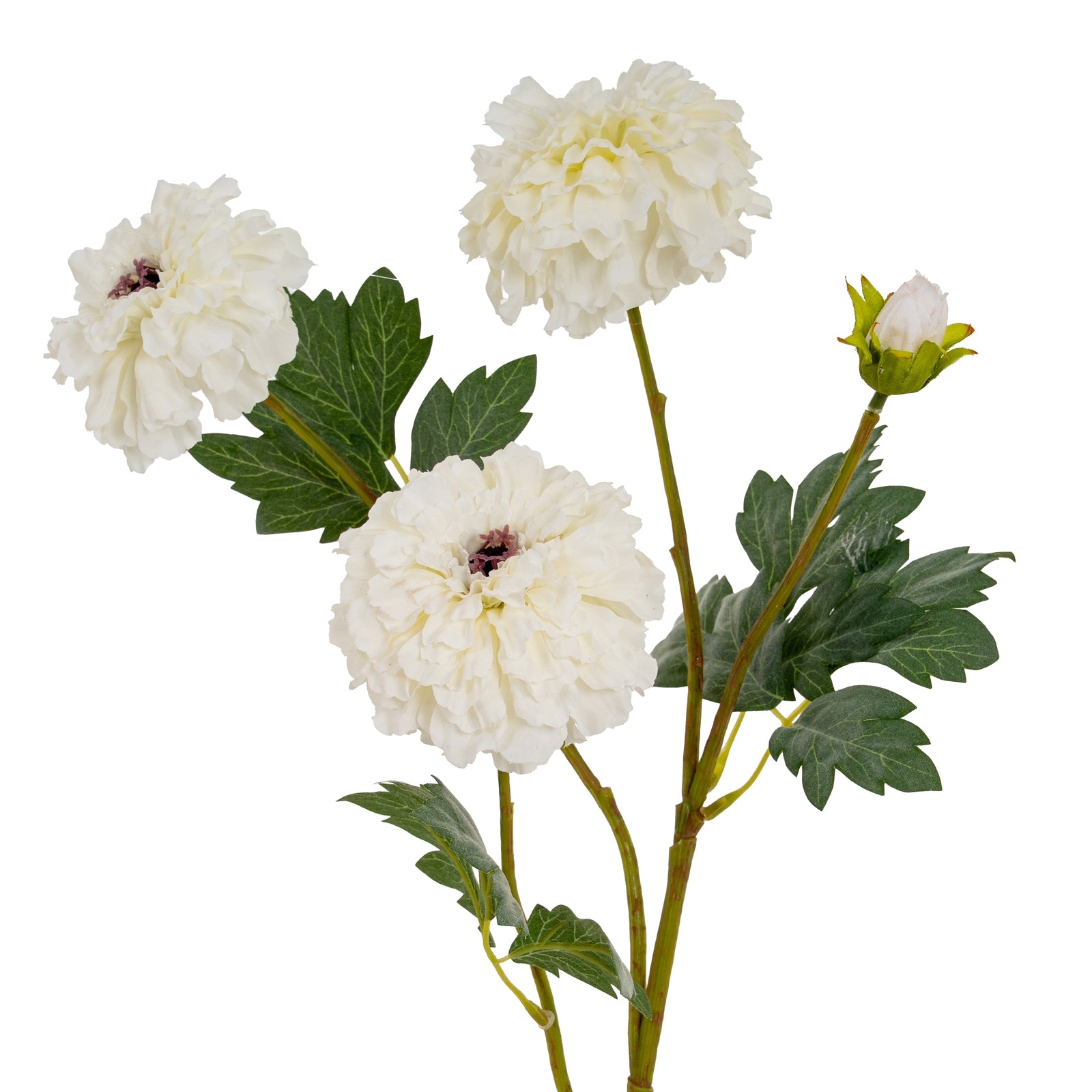 a bold close-up of a tall white marigold spray stem with full, lifelike petals against a dark background