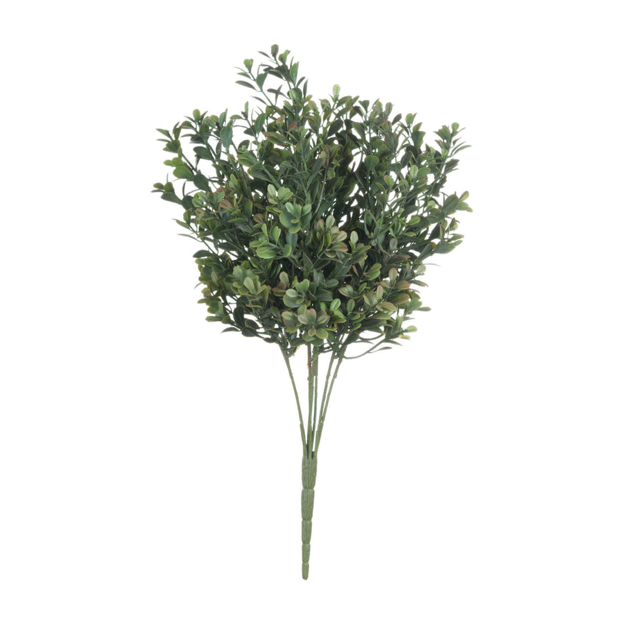 Realistic autumn leaf spray with red-to-green gradient, perfect for seasonal home decor by Sostter at brixbailey.com