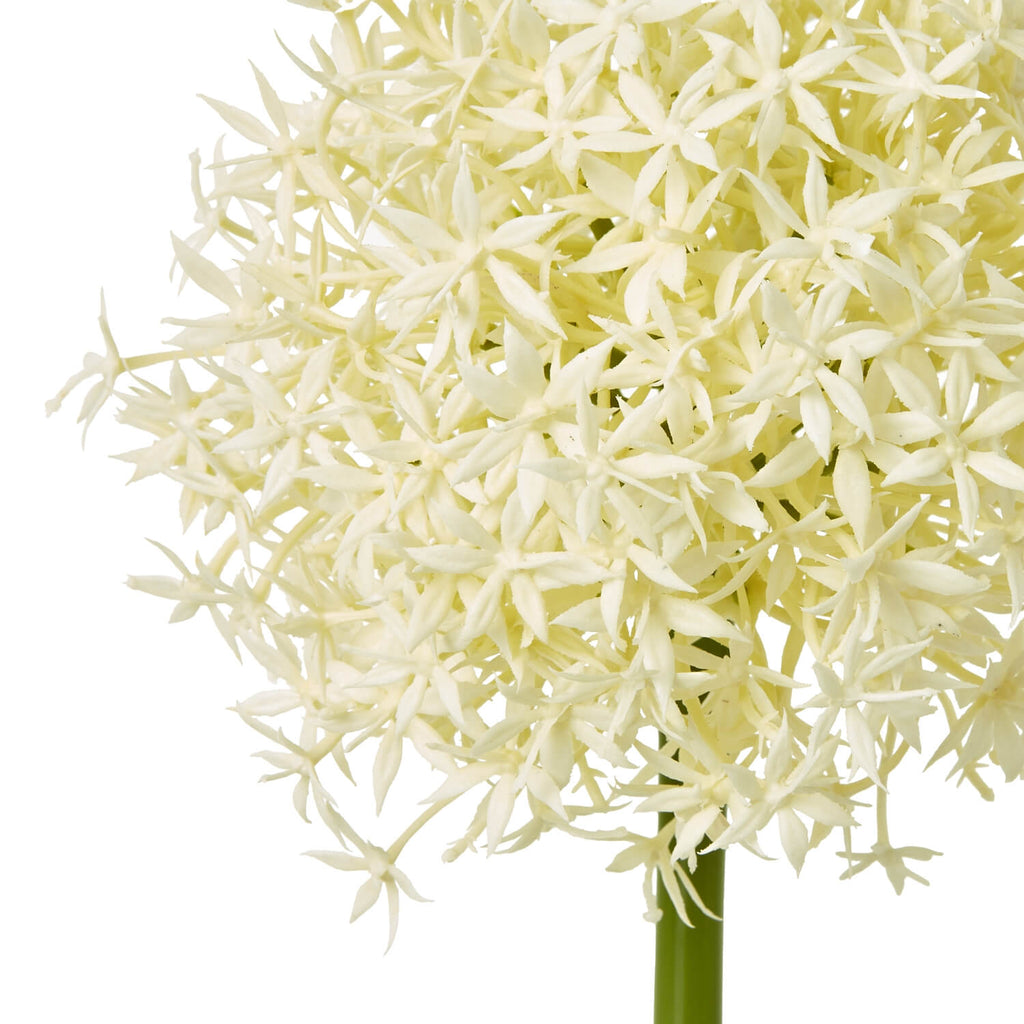 Lifelike cream allium stem floral decor, 80cm tall with green stem, perfect for farmhouse or minimalist home styling by Sostter at brixbailey.com