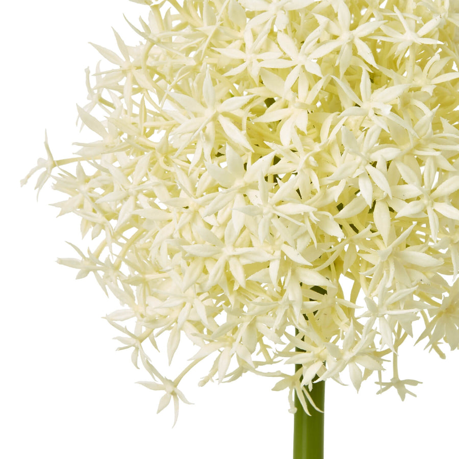 Lifelike cream allium stem floral decor, 80cm tall with green stem, perfect for farmhouse or minimalist home styling by Sostter at brixbailey.com
