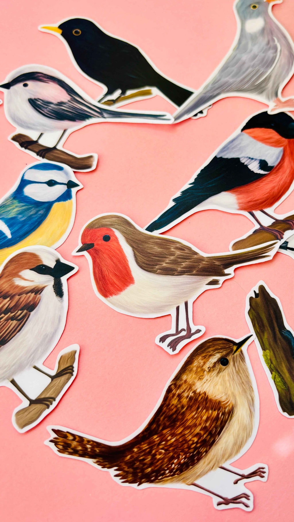 Garden Bird Sticker Gift Set- 7cm Vinyl Waterproof Stickers
