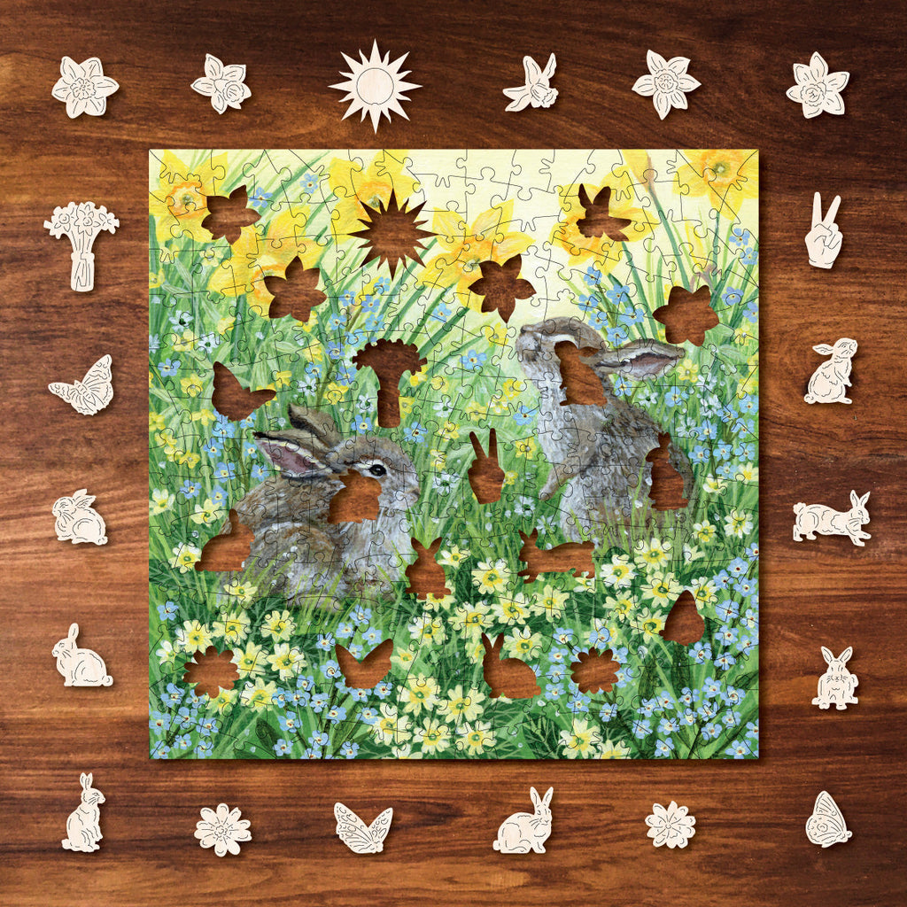 Sunshine & Spring Flowers