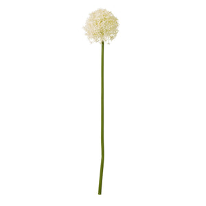 Lifelike cream allium stem floral decor, 80cm tall with slender green stem, perfect for farmhouse or minimalist interiors by sostter at brixbailey.com