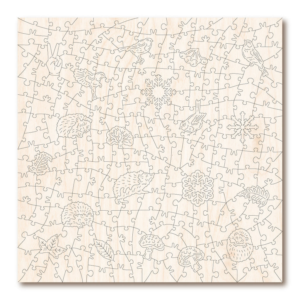 Snowy Hedgehog & Robin