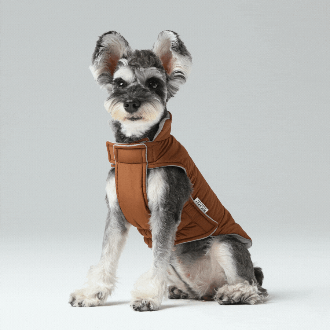 Reversible Dog Vest Jacket in Orange and Grey