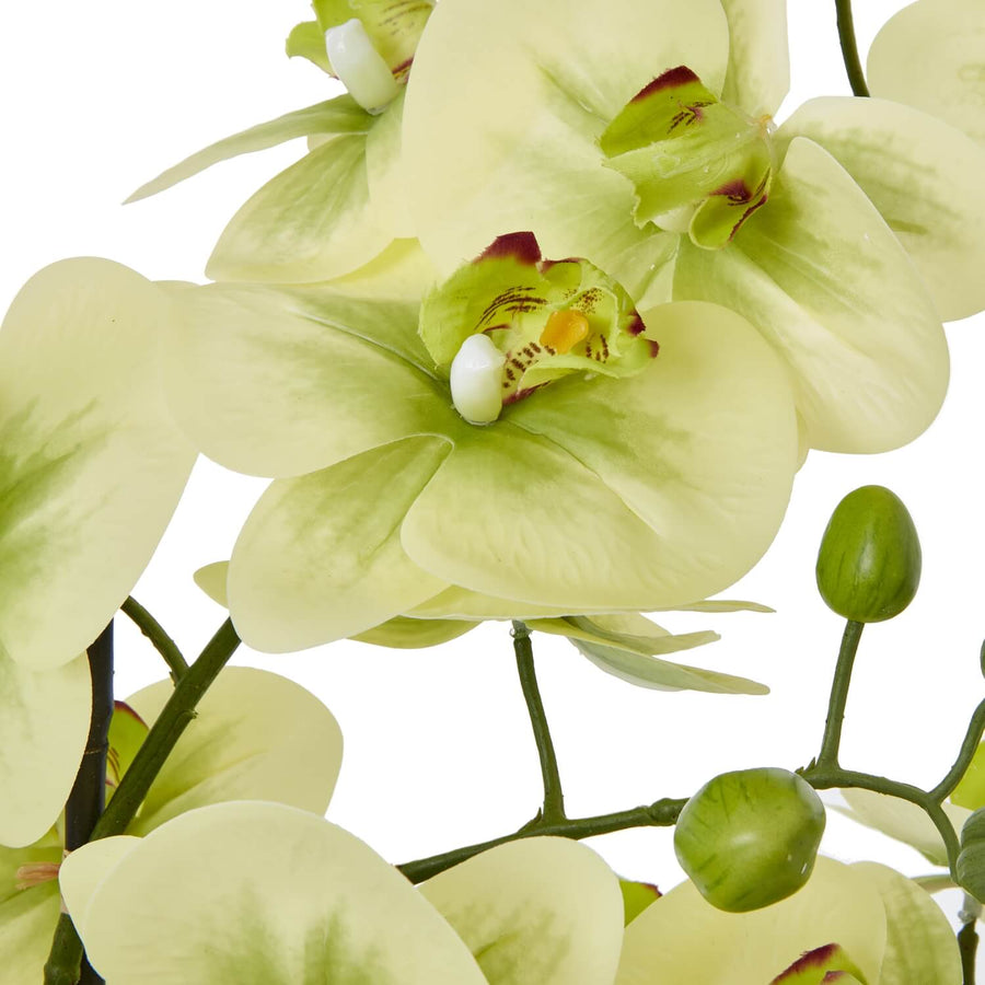 Lifelike cream phalaenopsis orchid arrangement in ceramic pot, hyper-realistic faux flowers with green accents by Sostter at brixbailey.com