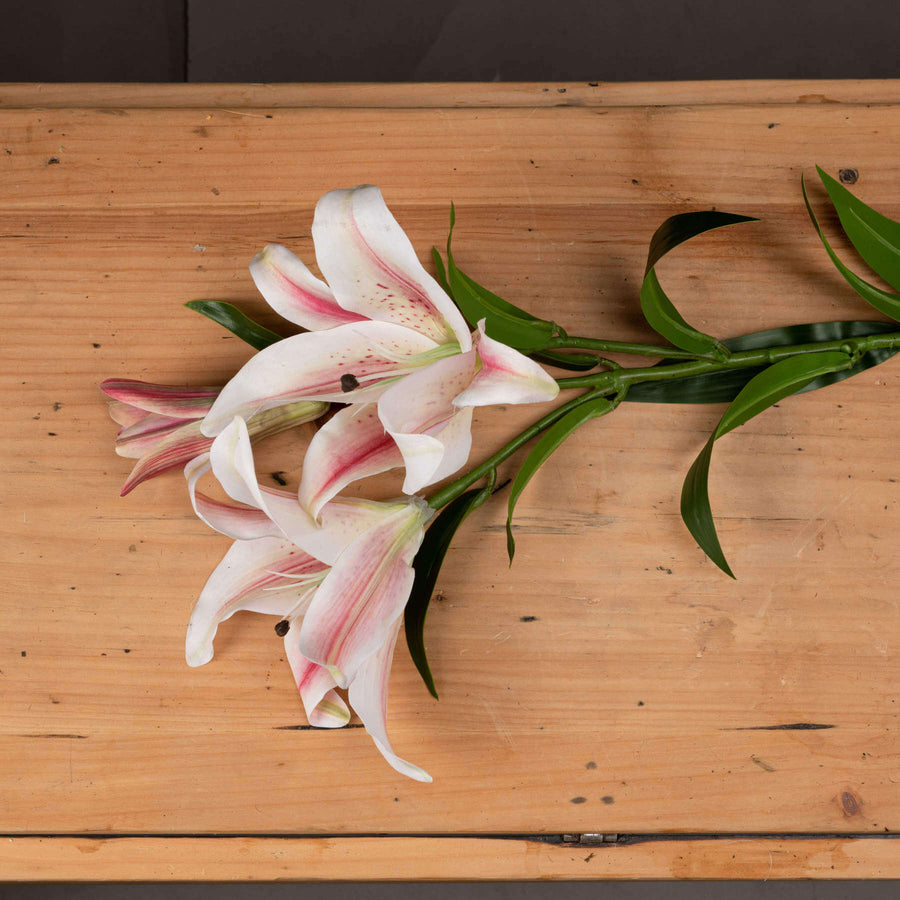 Handcrafted white and pink silk stargazer lily stem, hyper-realistic artificial flower for home decor by Sostter at brixbailey.com