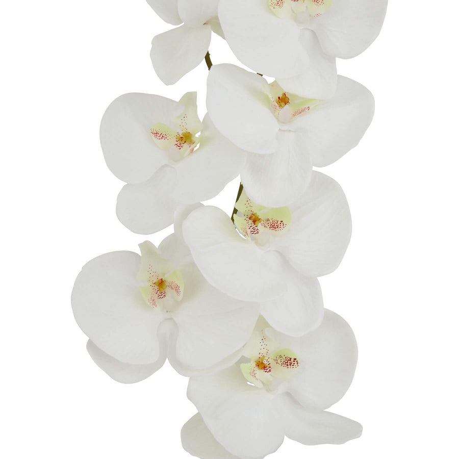 Lifelike white artificial orchid stem, 103cm tall, with realistic petals and plastic construction for elegant home decor by Sostter at brixbailey.com