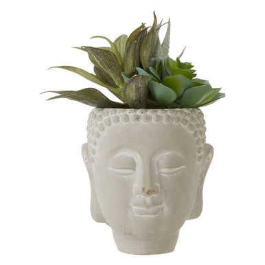 Buddha Pot with Mixed Succulents