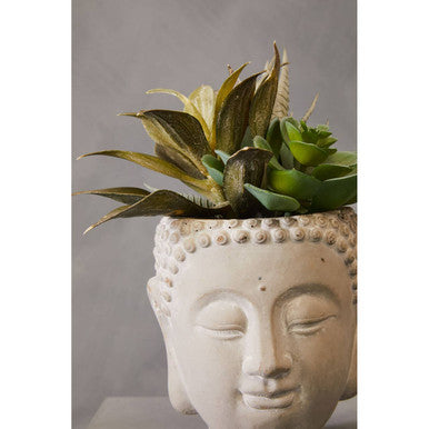 Buddha Pot with Mixed Succulents