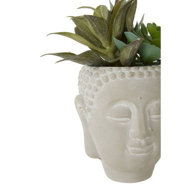 Buddha Pot with Mixed Succulents