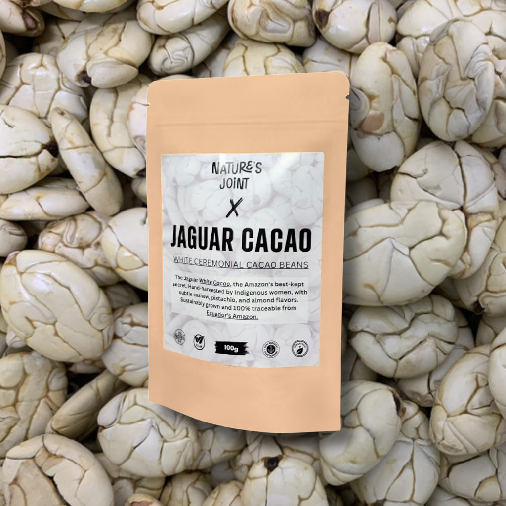 Jaguar (white) cacao beans