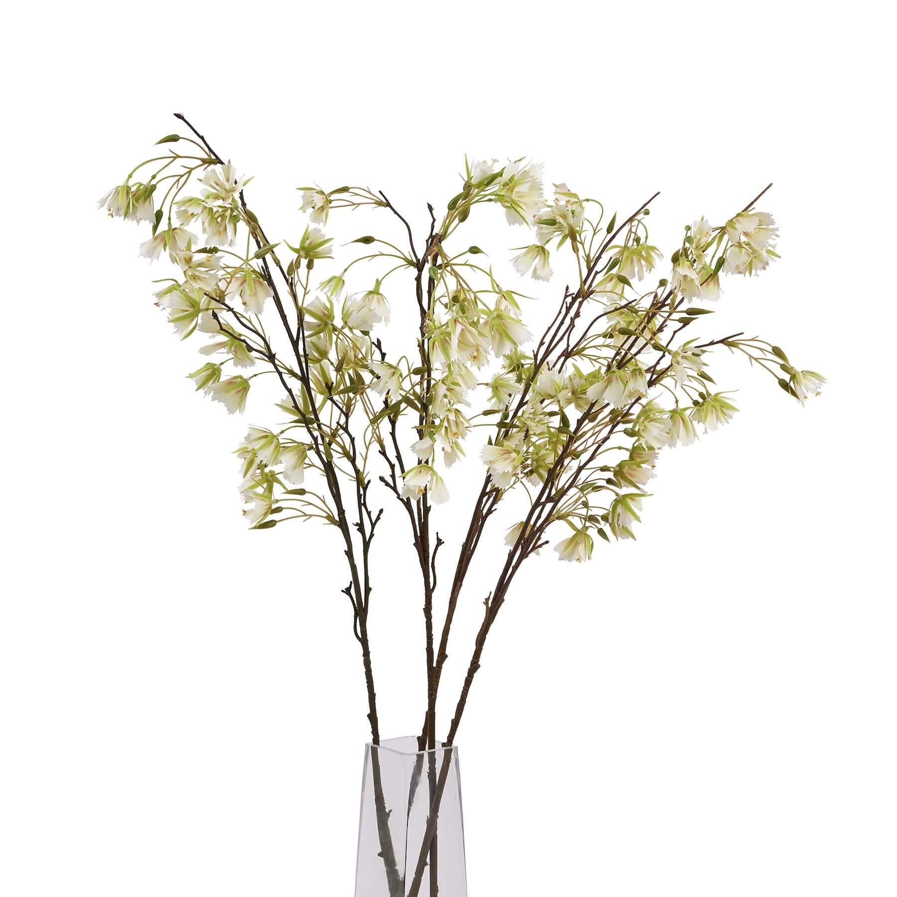 Lifelike artificial Elaeocarpus stem with finely textured green leaves, 100cm tall, for realistic floral arrangements by Sostter at brixbailey.com