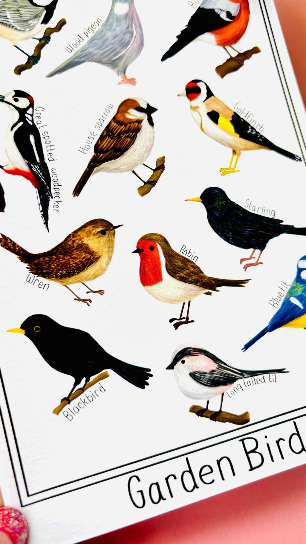 Garden British Birds Art Print-: Multiple Sizes available