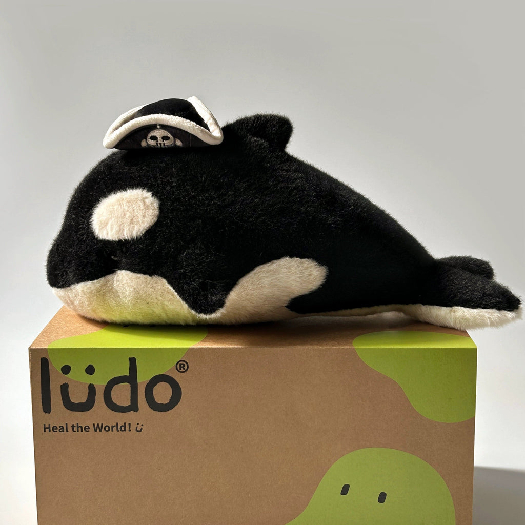 Orca Whale Plush Toy