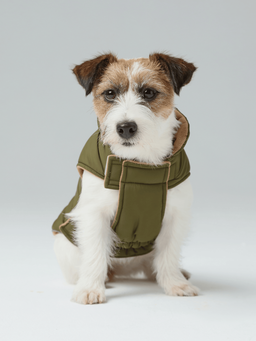 Reversible Dog Vest Jacket in Green and Brown