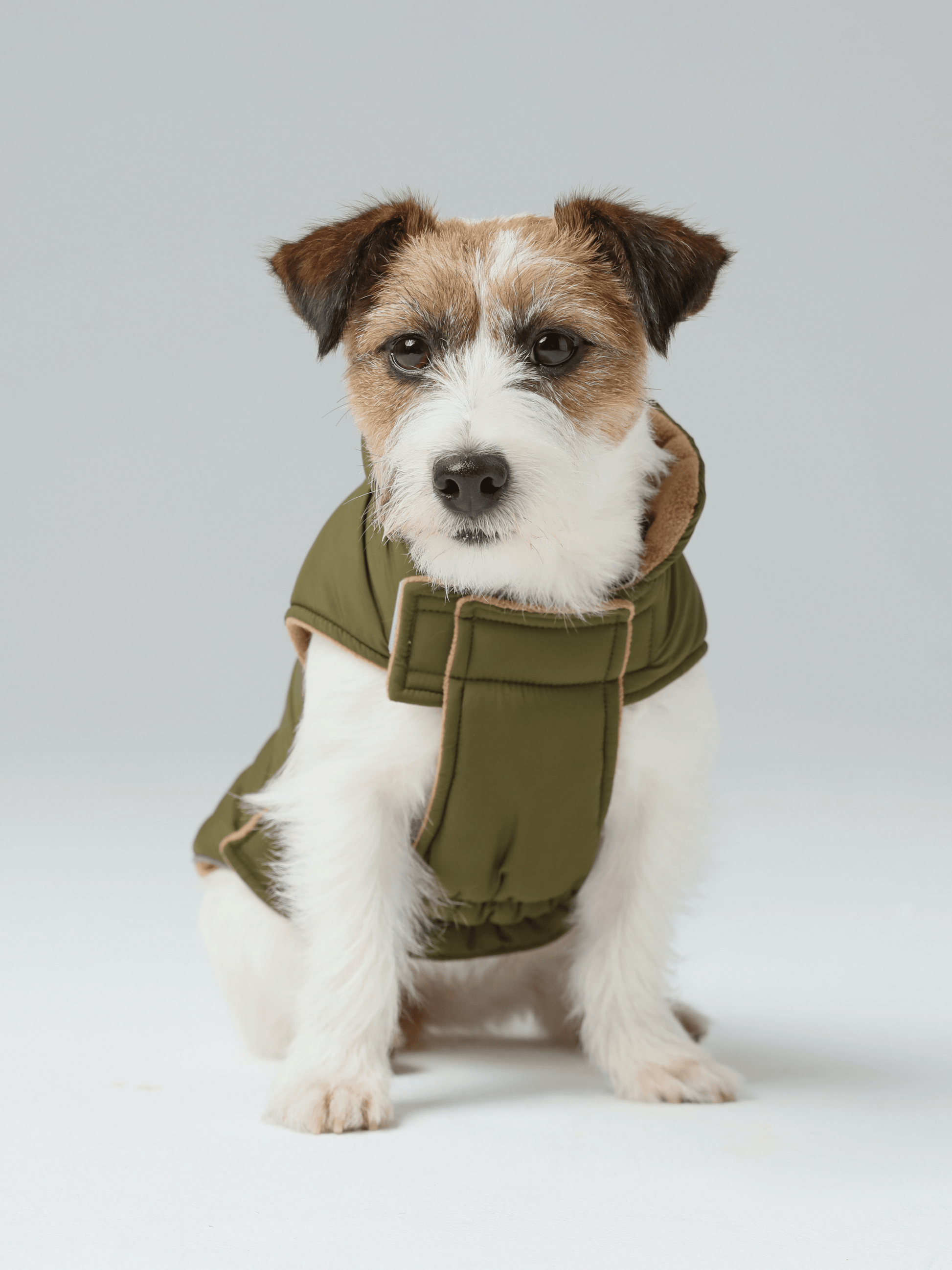 Reversible Dog Vest Jacket in Green and Brown