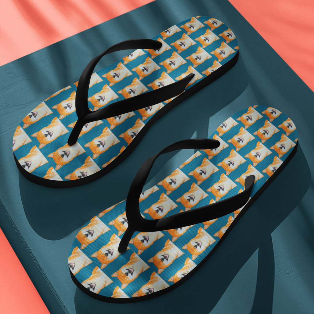 Flip, Flop & Flee: Shiba Escapes in Style