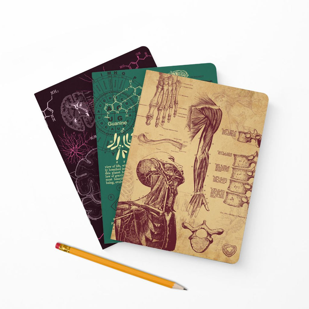 The Living Code Notebook Set Anatomy Neuroscience Evolution Genetics