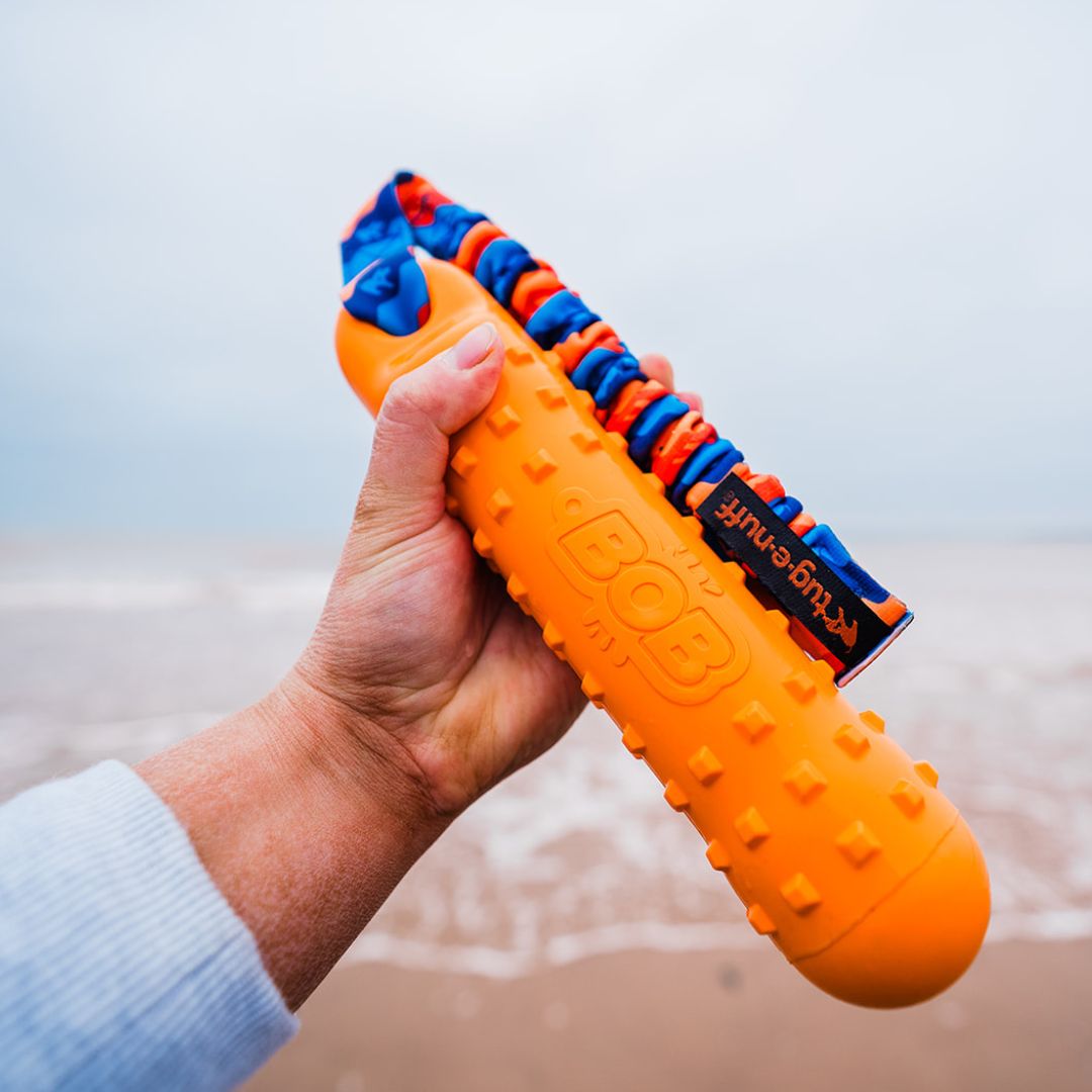 BOB The 3 in 1 Dog Dummy