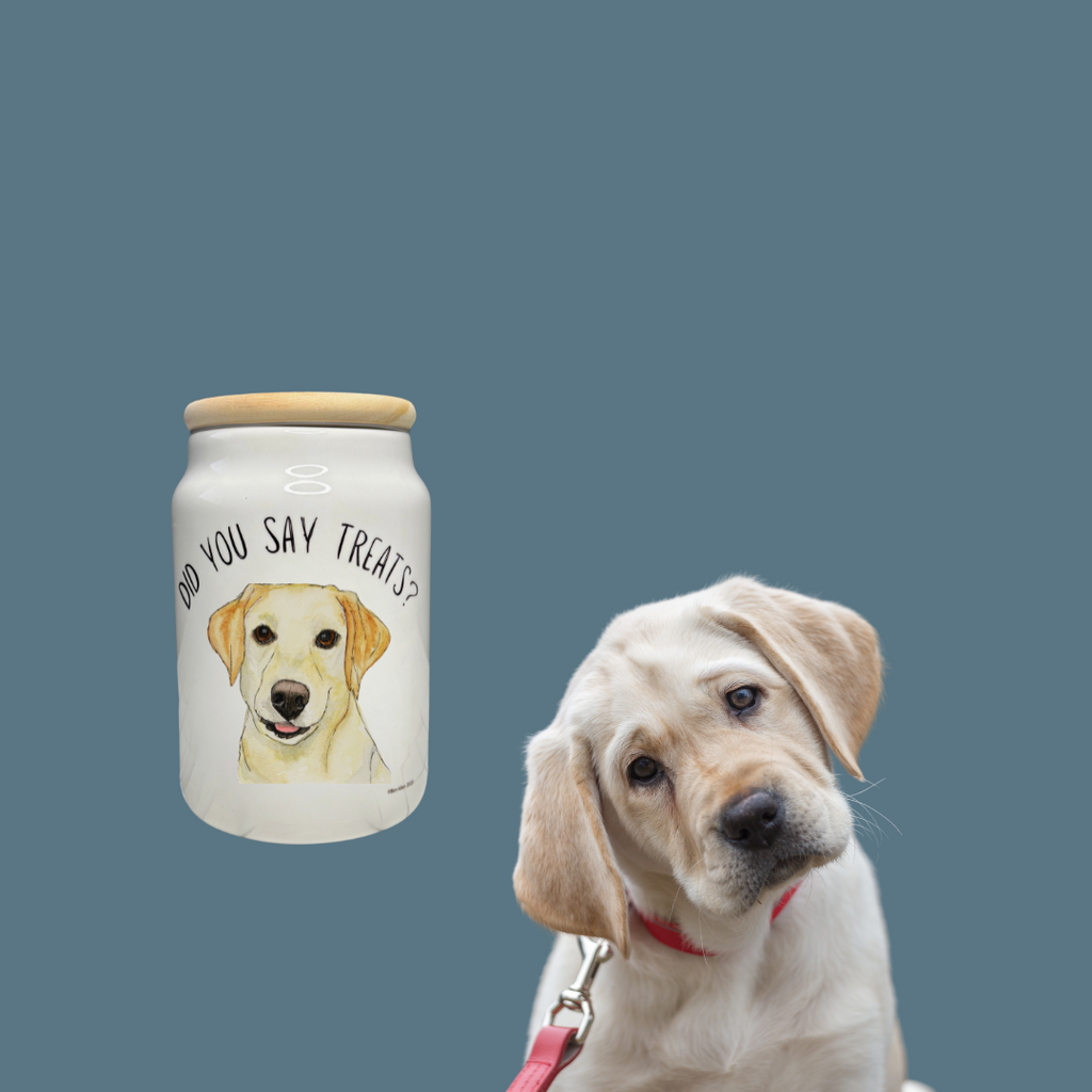 “In Case of Emergency, Break for Biscuits” Ceramic Treat Jar – Starring the Om Nom Nomnivore