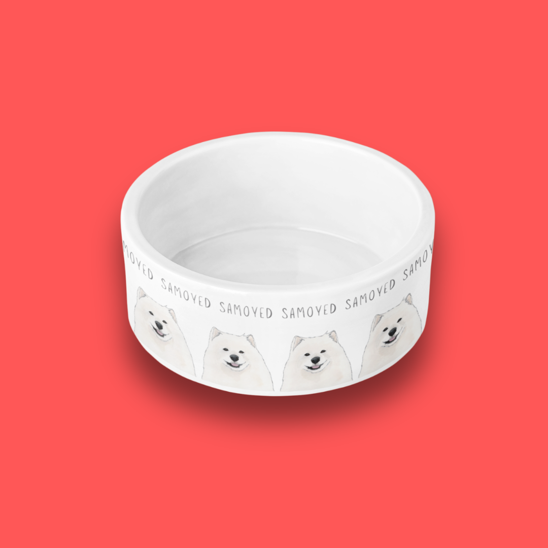 Bowl of Fluff: The Samoyed Dining Experience