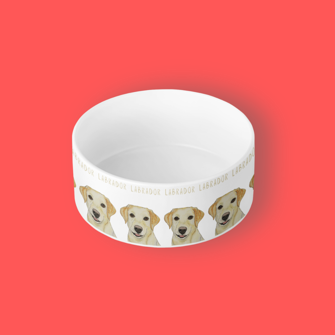 Bone Appétit! Luxe Lab Bowl for the Om Nom Nomnivore