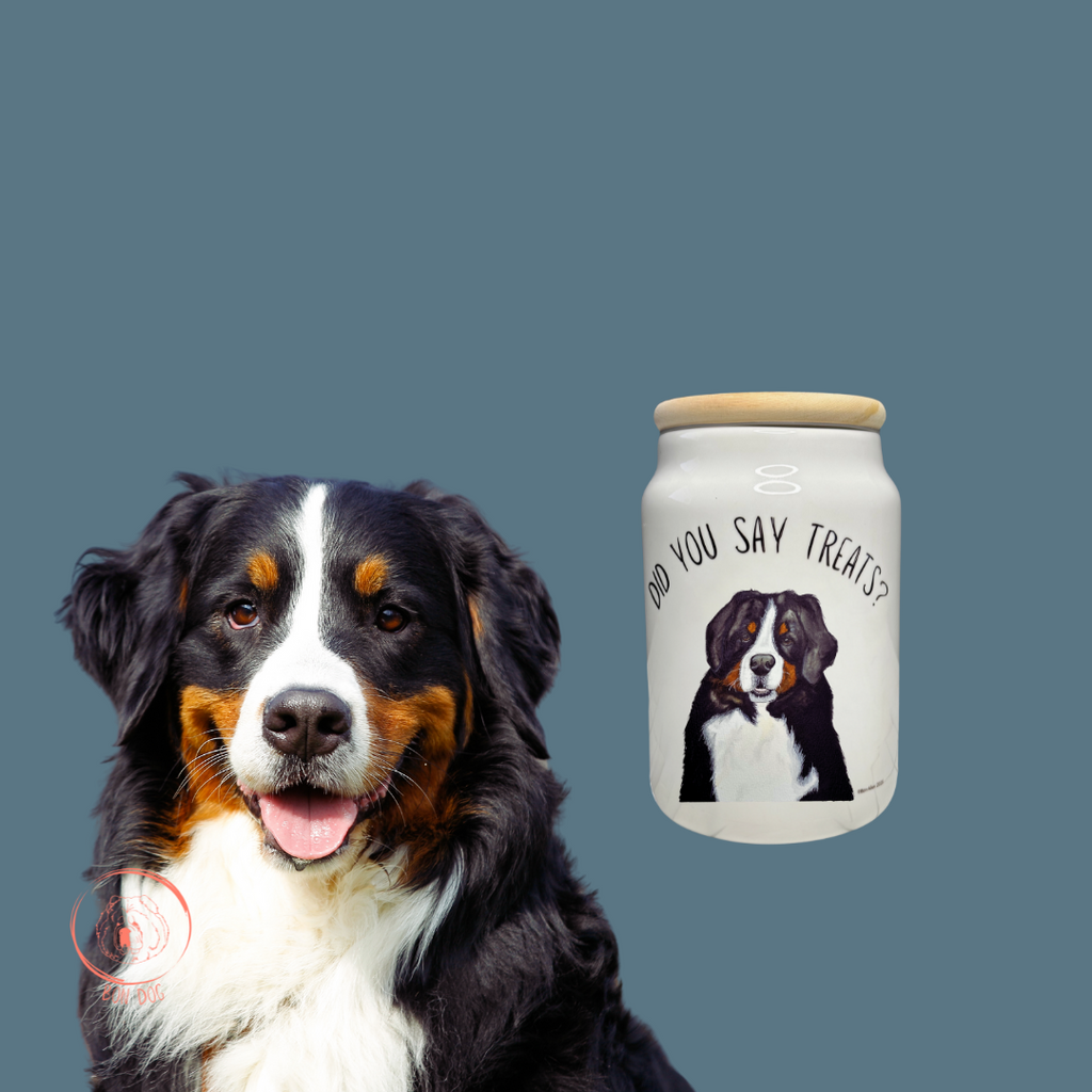 Bernese Mountain Dog Ceramic Treat Jar – Keep the Treats Safe!