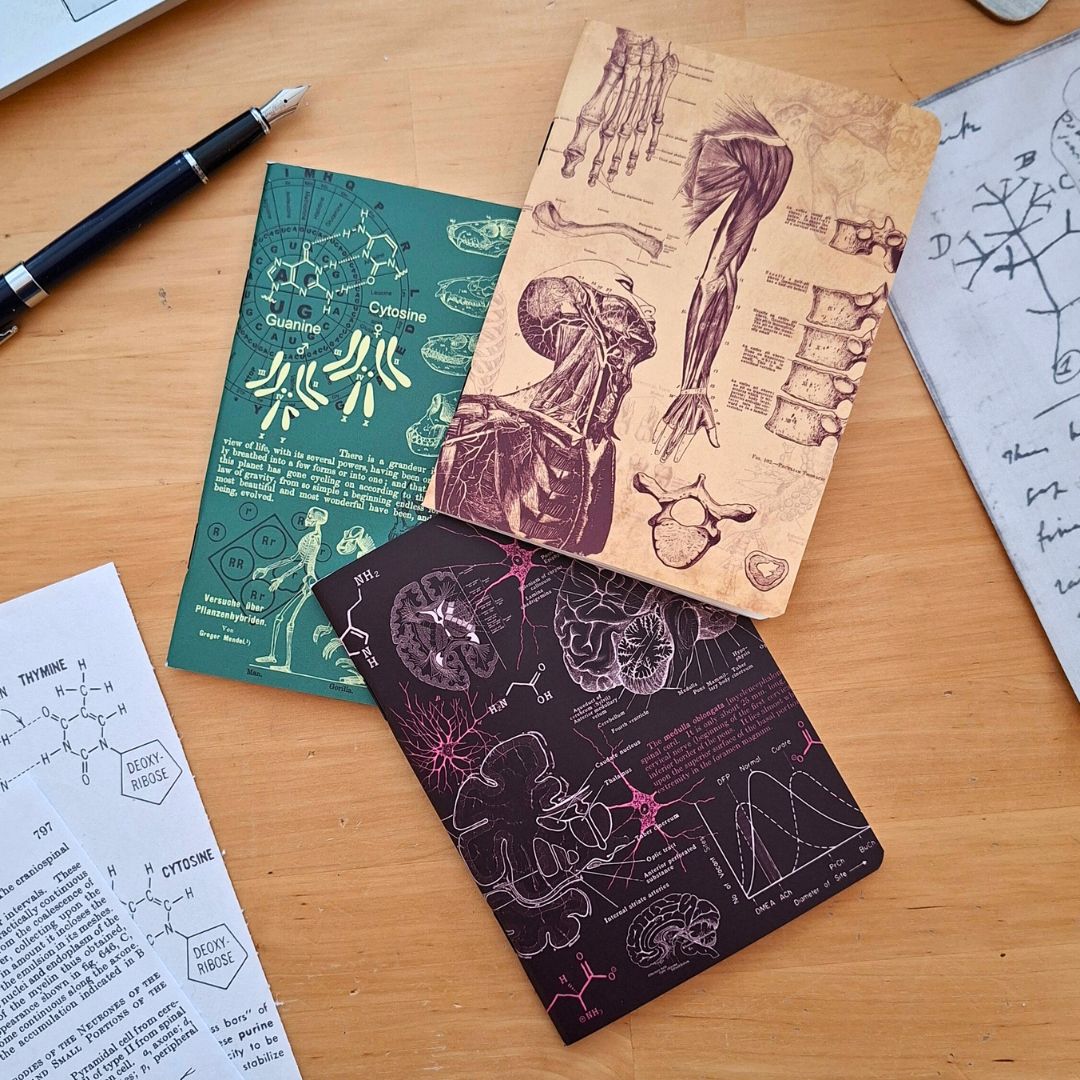 The Living Code Notebook Set Anatomy Neuroscience Evolution Genetics