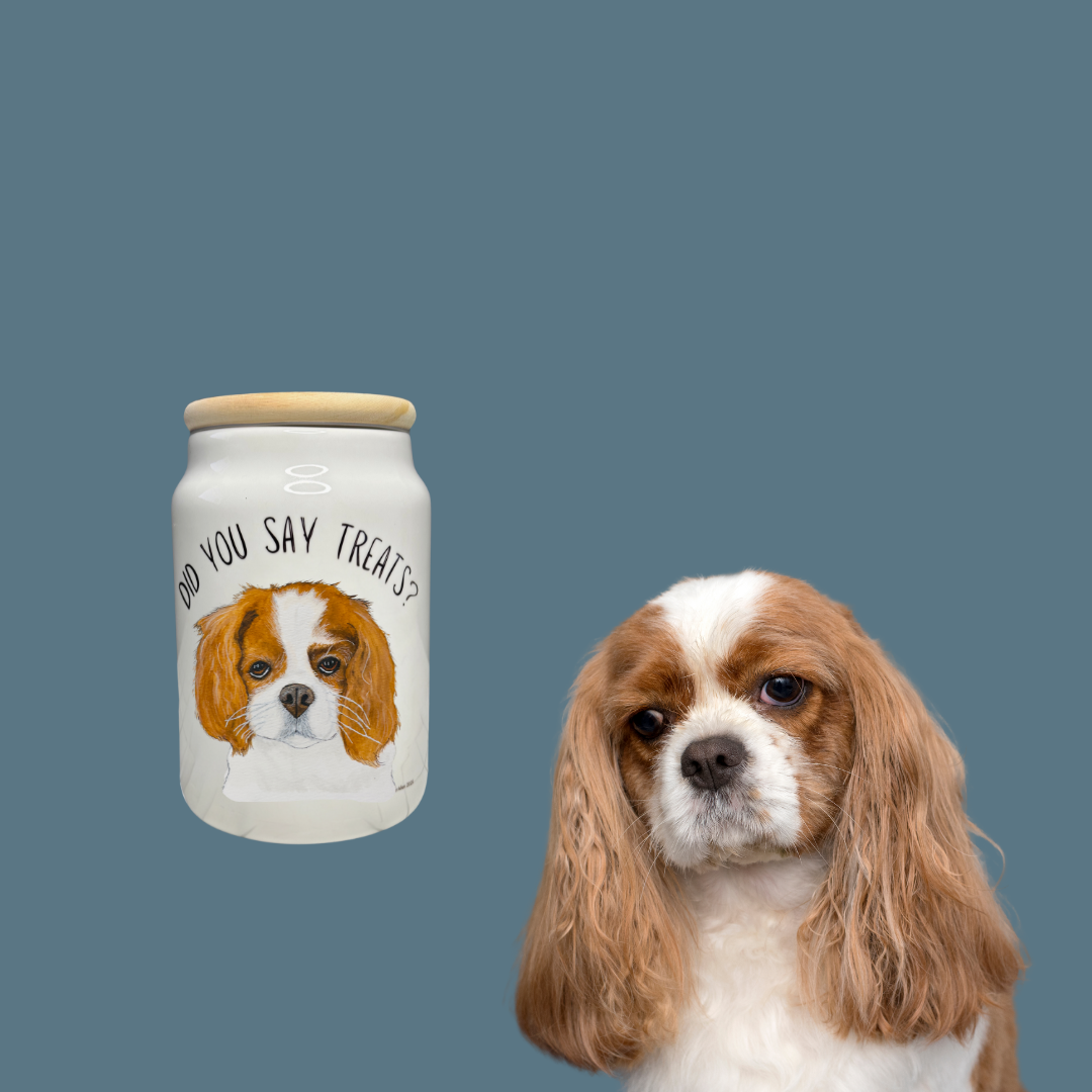 Cavalier Treat Treasury: High-End Ceramic Jar for Royal Rewards