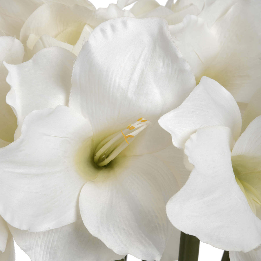 Lifelike white artificial amaryllis arrangement with 2 blooms and 1 bud, 81cm tall plastic floral decor for tabletops by Sostter at brixbailey.com
