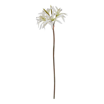 White faux Nerine lily stem with recurved petals, realistic texture, and naturalistic stem, 61cm tall. by Hill Interiors at brixbailey.com