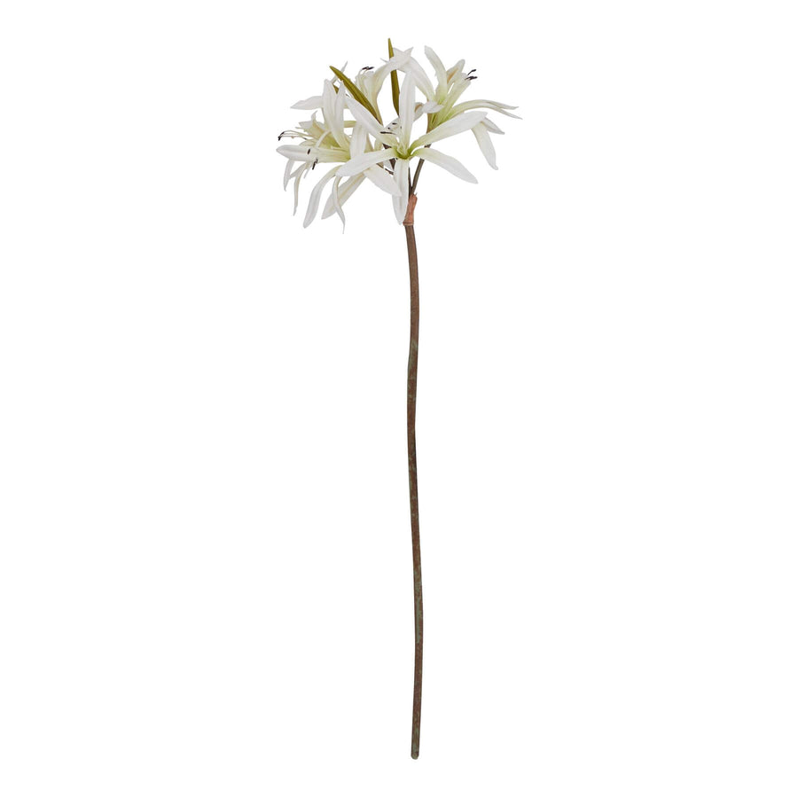 White faux Nerine lily stem with recurved petals, realistic texture, and naturalistic stem, 61cm tall. by Hill Interiors at brixbailey.com