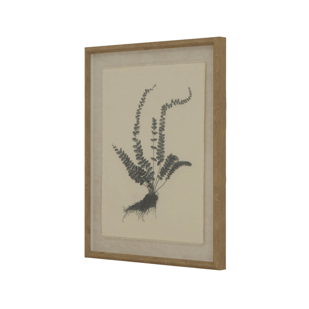 Exquisite spleenwort fern botanical print on linen with ornate beaded frame, neutral tones, 50x40cm by Sostter at brixbailey.com