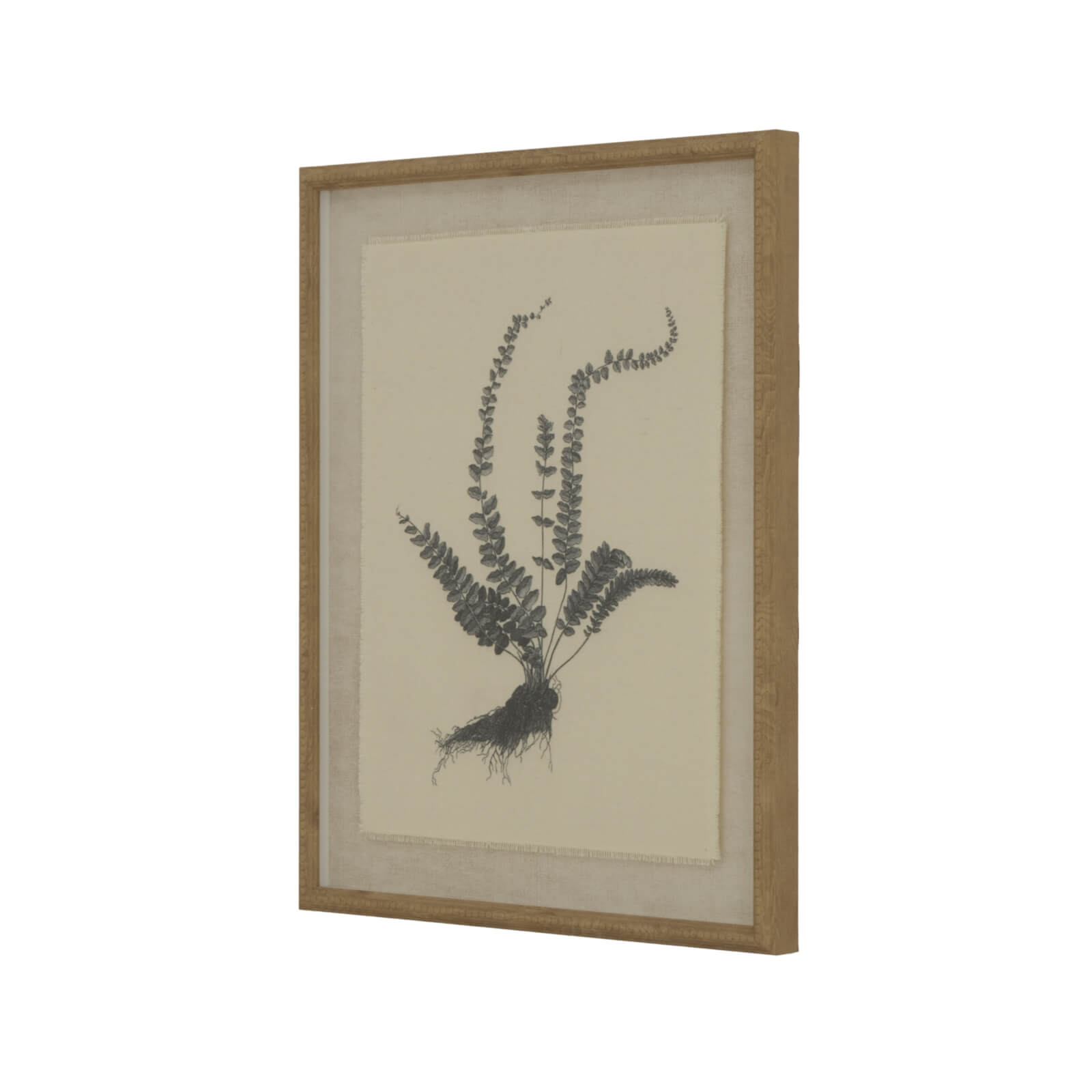 Exquisite spleenwort fern botanical print on linen with ornate beaded frame, neutral tones, 50x40cm by Sostter at brixbailey.com