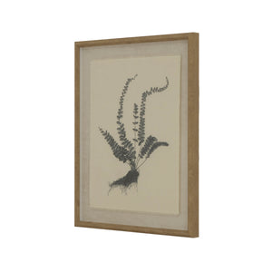 Exquisite spleenwort fern botanical print on linen with ornate beaded frame, neutral tones, 50x40cm by RoomLondon at brixbailey.com