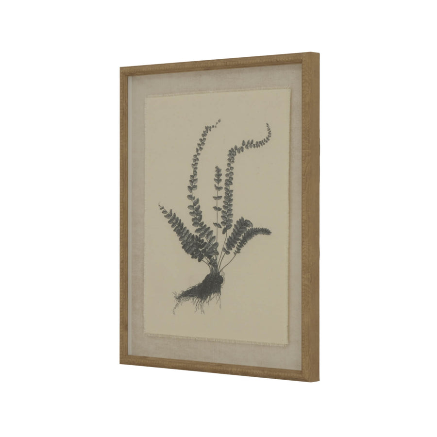 Exquisite spleenwort fern botanical print on linen with ornate beaded frame, neutral tones, 50x40cm by Sostter at brixbailey.com