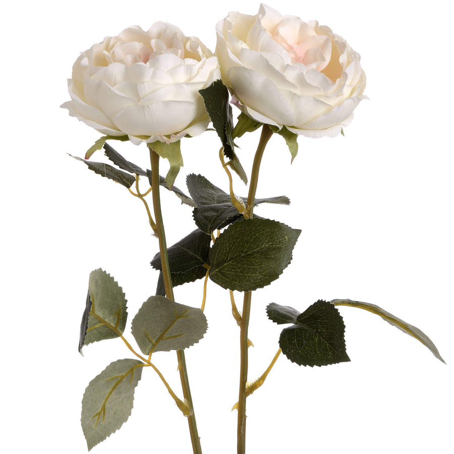 Lifelike white artificial Austin rose with blush center, realistic plastic petals, 25-inch stem for elegant decor by Sostter at brixbailey.com