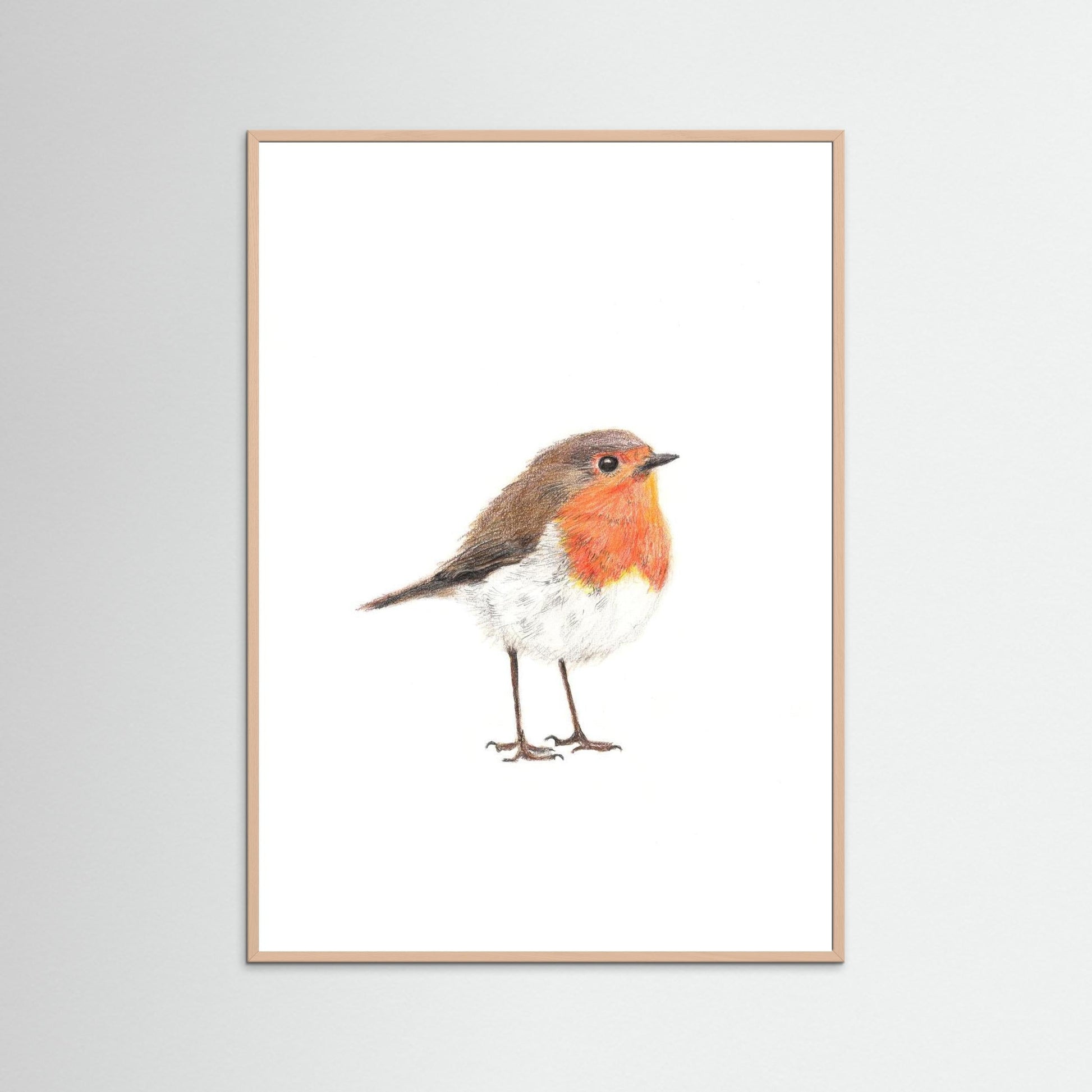 Robin Art Print Wildlife Wall Art for Nature Lovers