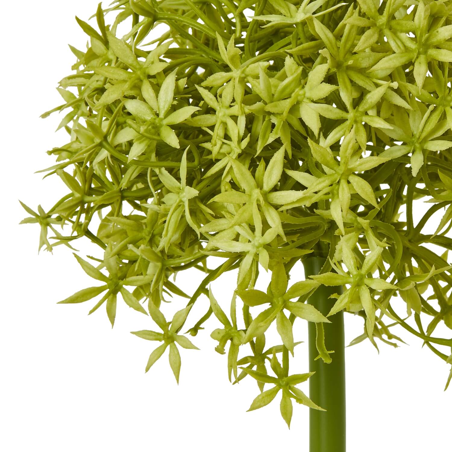 Green Allium stem artificial flower with spherical bloom, vibrant green plastic, 80cm tall for home decor by Sostter at brixbailey.com