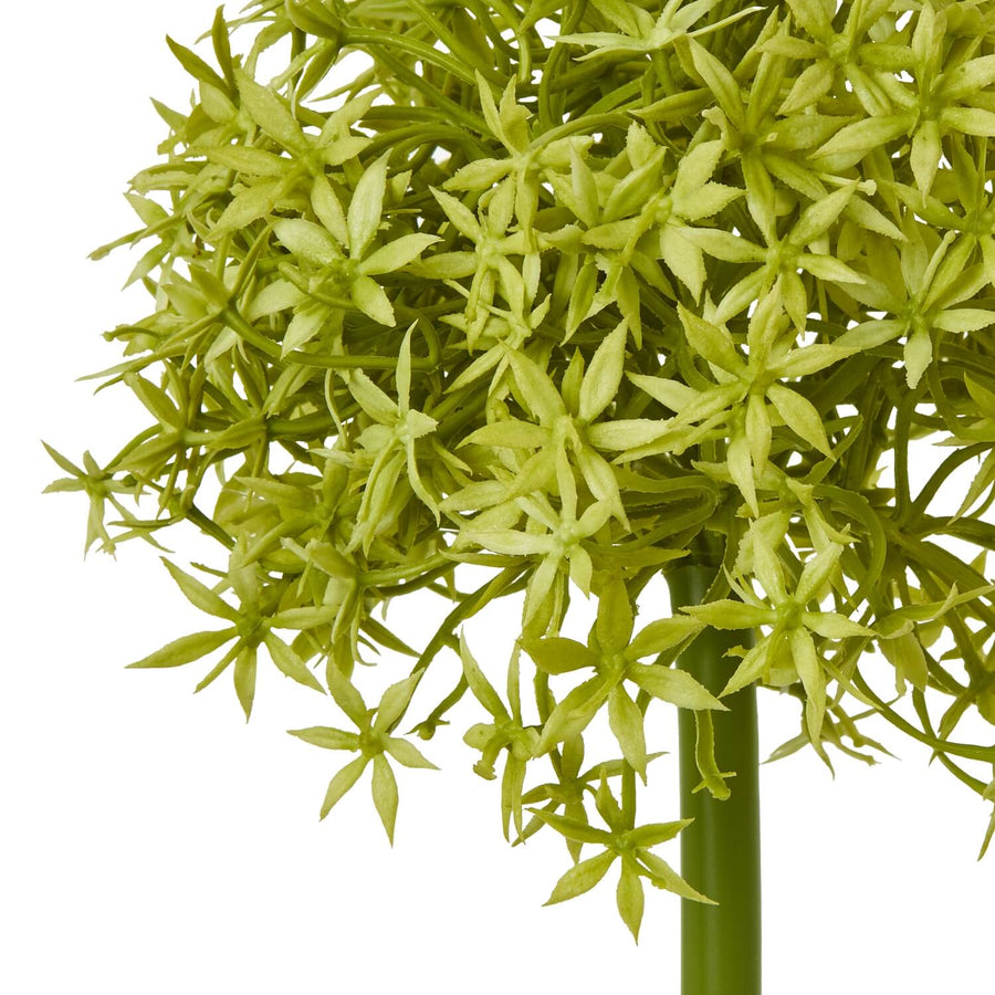 Green Allium stem artificial flower with spherical bloom, vibrant green plastic, 80cm tall for home decor by Sostter at brixbailey.com